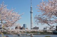 関東:隅田公園