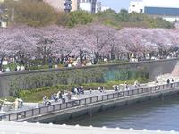 関東:隅田公園