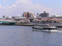 関東:隅田公園
