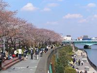 関東:隅田公園