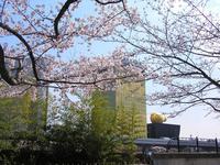 関東:隅田公園