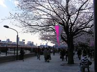 関東:隅田公園