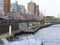関東:隅田公園