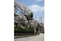 関東：野毛山公園