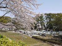 関東:小田原城址公園