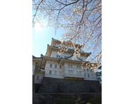 関東:小田原城址公園