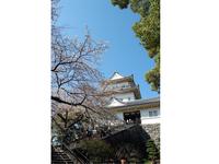 関東:小田原城址公園