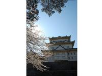 関東:小田原城址公園