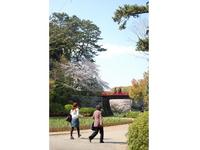 関東:小田原城址公園