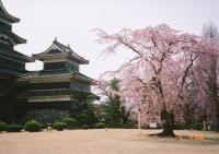 甲信越：高田公園