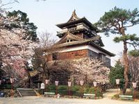 北陸：霞ヶ城公園・丸岡城の桜