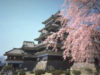 甲信越：松本城