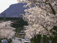 甲信越：城山公園