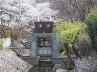 東海：岐阜公園・長良川堤