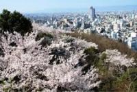 東海：水道山