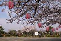 東海：市民の森羽島公園