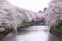 東海：新境川堤