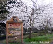 東海:寺尾ヶ原千本桜公園