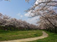 東海：宮川緑地公園