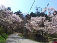 東海：東照宮(旧松泰寺)