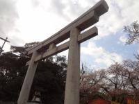 東海:三嶋大社