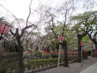 東海:三嶋大社