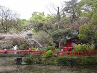 東海:三嶋大社