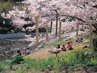 東海：那賀川堤