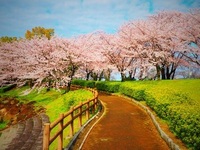 東海：落合公園