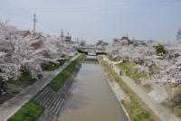 東海：岡崎公園