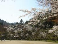 近畿：滝上公園