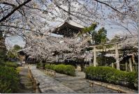 近畿：本法寺