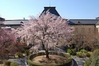 近畿：京都府庁旧本館