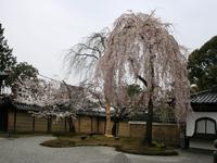 近畿・関西:高台寺