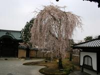 近畿・関西:高台寺