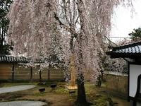近畿・関西:高台寺
