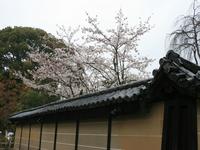 近畿・関西:高台寺
