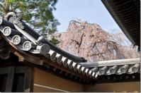 近畿:高台寺