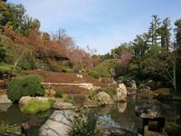近畿・関西:退蔵院