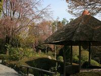 近畿・関西:退蔵院