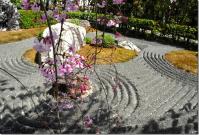 近畿:退蔵院