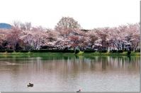 大沢池から