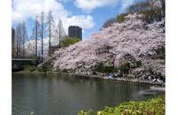 近畿：毛馬桜之宮公園