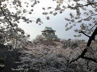 近畿・関西:大阪城公園
