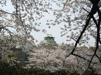 近畿・関西:大阪城公園