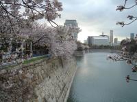 近畿:大阪城公園
