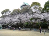 近畿:大阪城公園