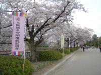近畿:大阪城公園