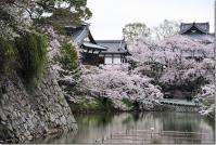 近畿：郡山城址公園