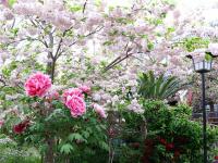 近畿：新家長福寺